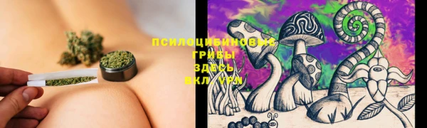 Альфа ПВП Абдулино