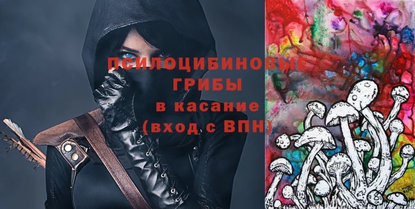 гидра Алзамай