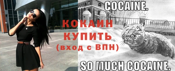 стаф Иннополис