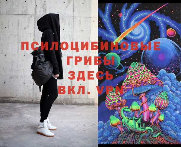 spice Абаза
