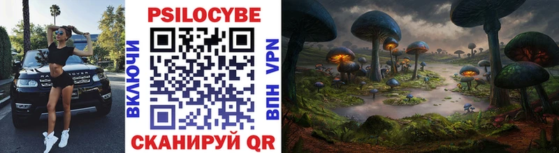 kraken ссылки  Тутаев  Галлюциногенные грибы Psilocybe 