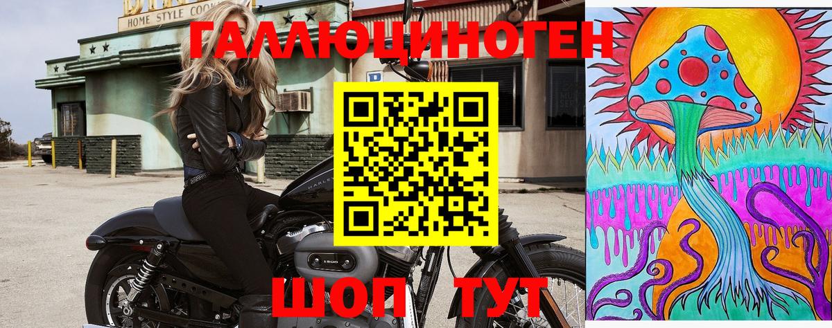 Псилоцибиновые грибы мицелий  Вход с VPN  Тутаев 
