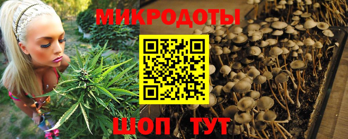 Галлюциногенные грибы GOLDEN TEACHER Тутаев